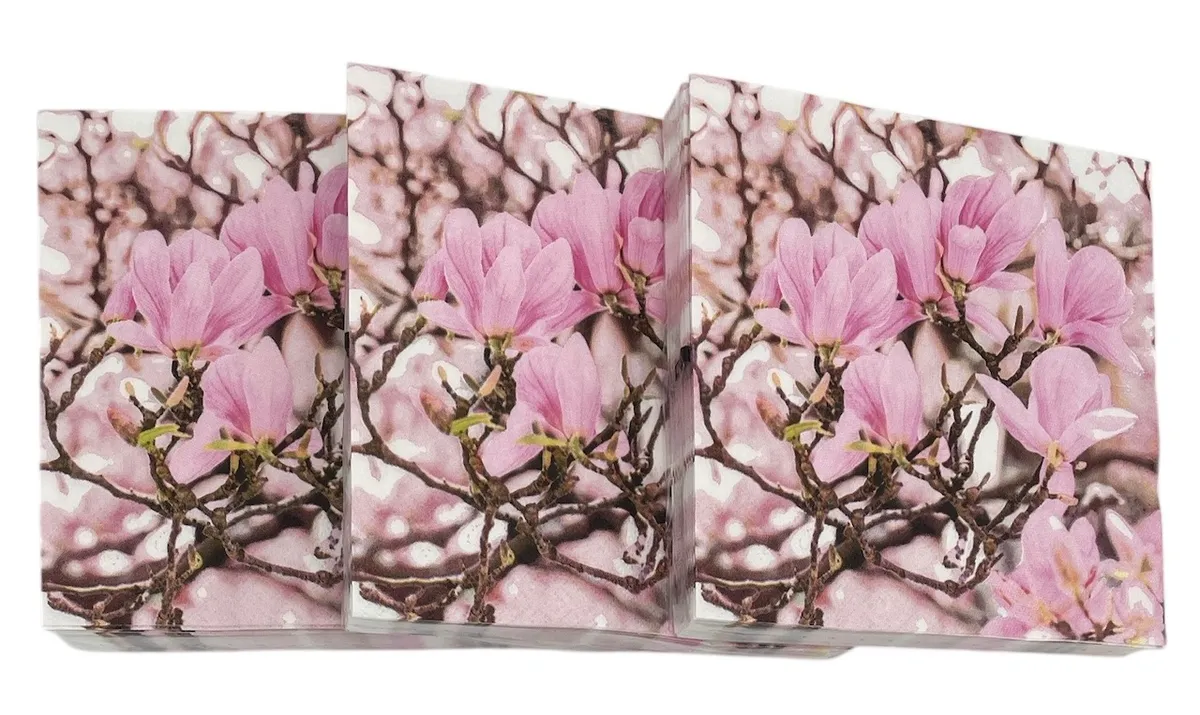 Servietter;  Magnolia 3x20stk